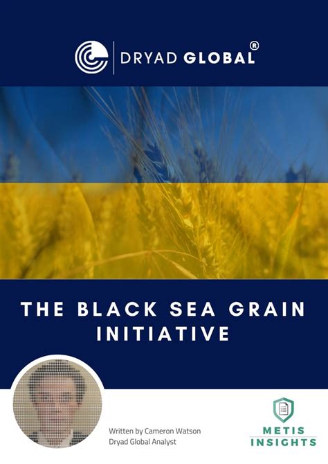 what is black sea grain initiative